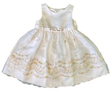 Cinderella Baby Girl Spring Dress Ivory Flowers Pink Roses Frilly Size 24M