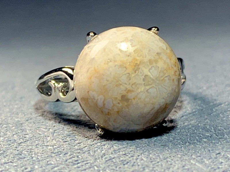 Natural Silicified Coral Fossil Flower Agate Ring/ Adjustable