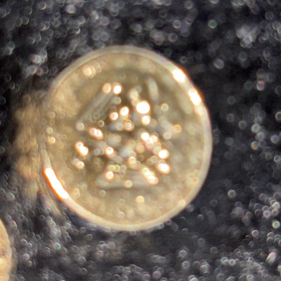 Lote de 6 pesos mexicanos de oro Estate Find Foto 3 de 4