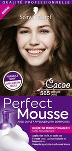 Schwarzkopf Perfect Mousse Coloration Permanente Cheveux Chatain Dore 565 Ebay