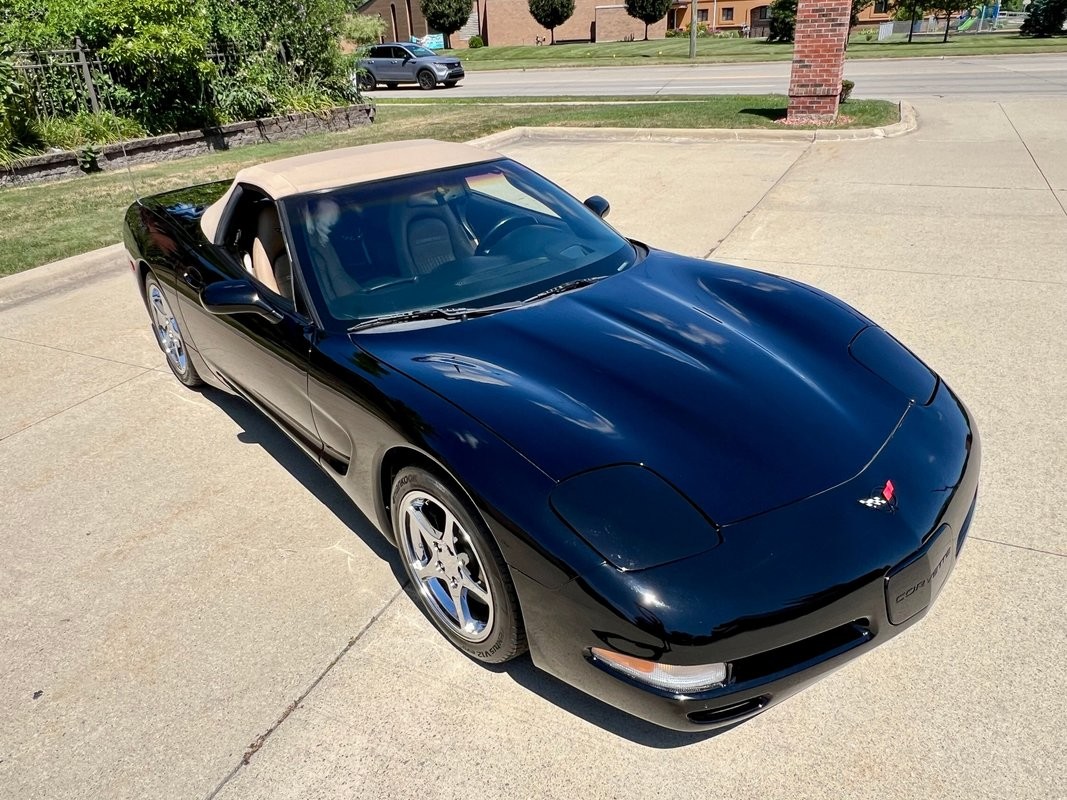 2001 Black Chevrolet Corvette   | C5 Corvette Photo 10