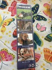 Pet Anti Chew Spray Stop Dog/Cat Biting Chewing Bitter Natural Spray 50ML — photo 3