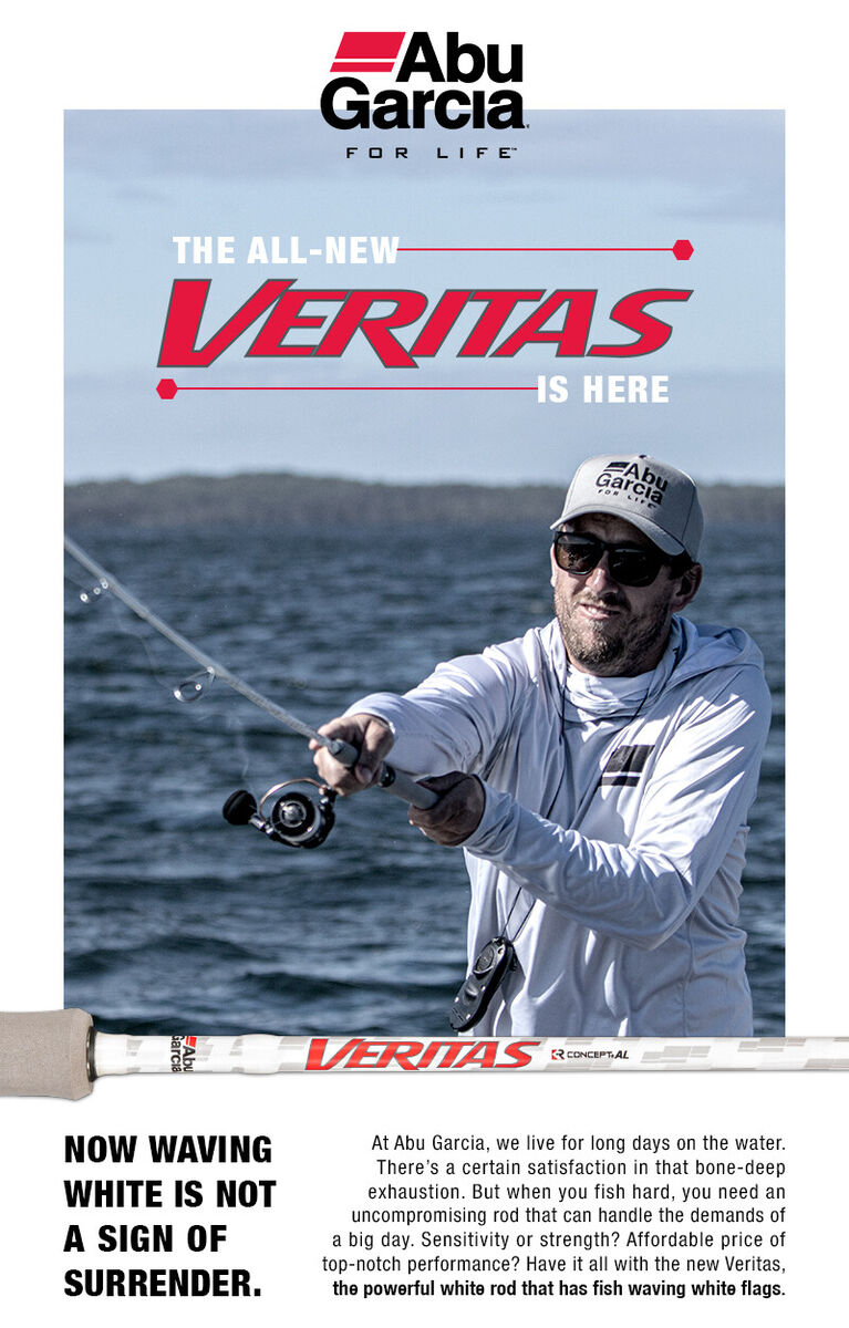 Abu Garcia Veritas V4 Spin Graphite Fishing Rod 7'8 PE0.4-1.0 EGI