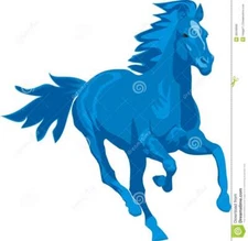 Racing Horse Force with Blue, Green, Red or Black Cap CEN Racing