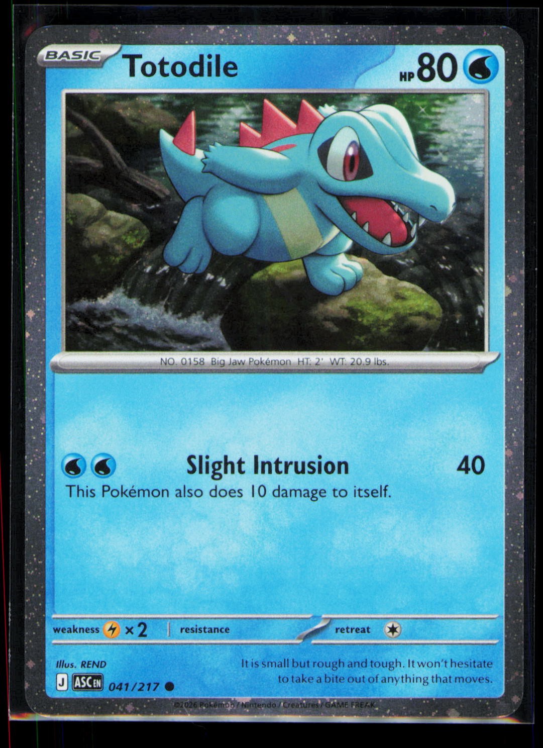 Pokemon Miscellaneous Cards & Products Totodile (Cosmos Holo) 041/217 Common NM