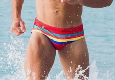 Men's Swimwear Striped Swim Briefs Beach Resort Wear Vacation Cruise Swimsuit