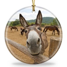 Funny Christmas Donkey Ornament, Farm Holiday Decor - Ceramic Donkey Hanging ...