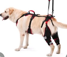 Lafoty Dog Knee Brace For Tomn, ACL/CCL MEDIUM