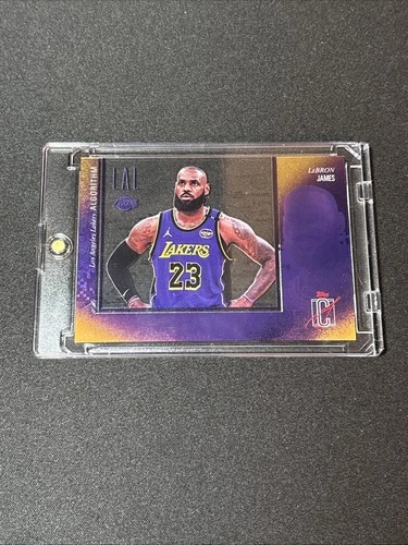 2025 Topps Signature LeBron James Base (RAW)