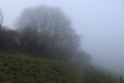 Foto 6x4 Wessex Ridgeway bei Chart Knolle Stoke Abbott Der Weg führt vorbei im Jahr 2017