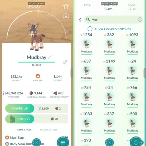 Pokémon Go | Mudbray 30x Bundle | Possible Lucky | Un/Registered Trade 20K |