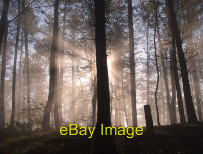Photo 6x4 Misty Dawn, Brampton Ridge Really pleased I stepped out into th c2011