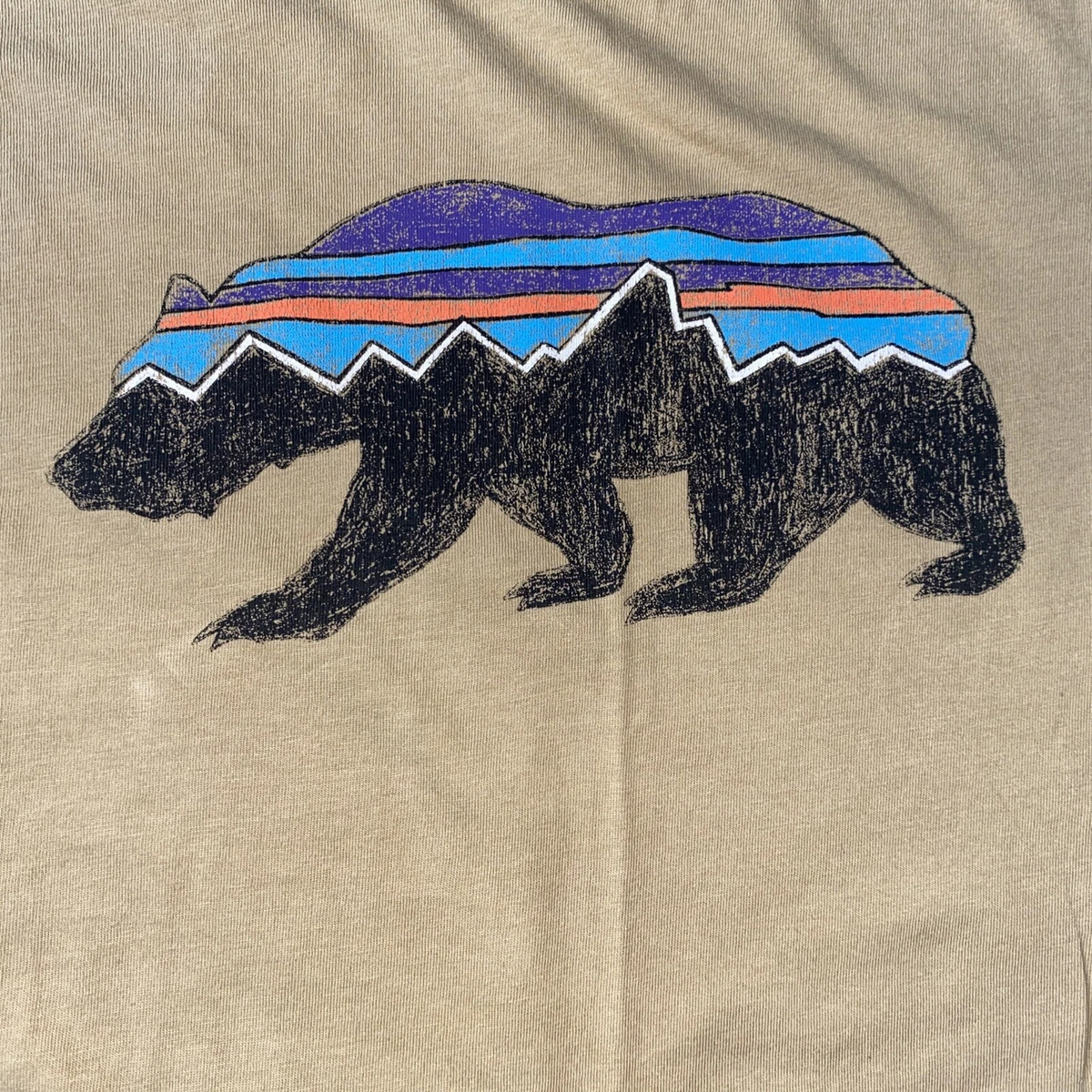 Patagonia fitz roy bear shirt 2025