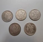 Morgan Dollars Lot of 5 90% Silver Coin Mixed Year US [Lot 13]