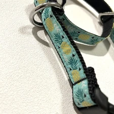 RC Pet Martingale Training Dog Collar, Small 11”-14” Pineapple Turquoise