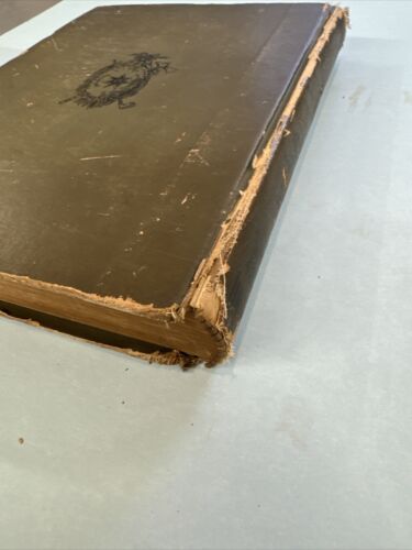 Historical Stories of American Pioneer Life by J. Fenimore Cooper 1897 - Picture 10 of 10