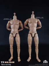 COO Model 1/6 Muscle Male Body with Skin Color 9.84" Height BD009