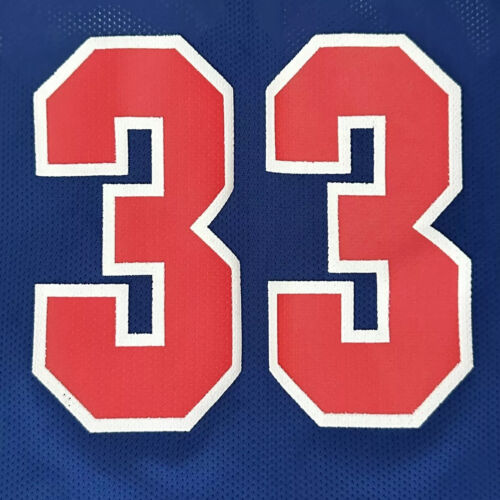 MINT 90s Vintage Champion Grant Hill Men 48 L Detroit Pistons Blue NBA Jersey - Picture 4 of 11
