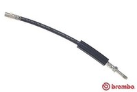 Brembo Bremsschlauch T 06 052 FüR BMW
