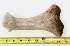natural real moose antler crafts handle carving flint knapping antlers gift diy