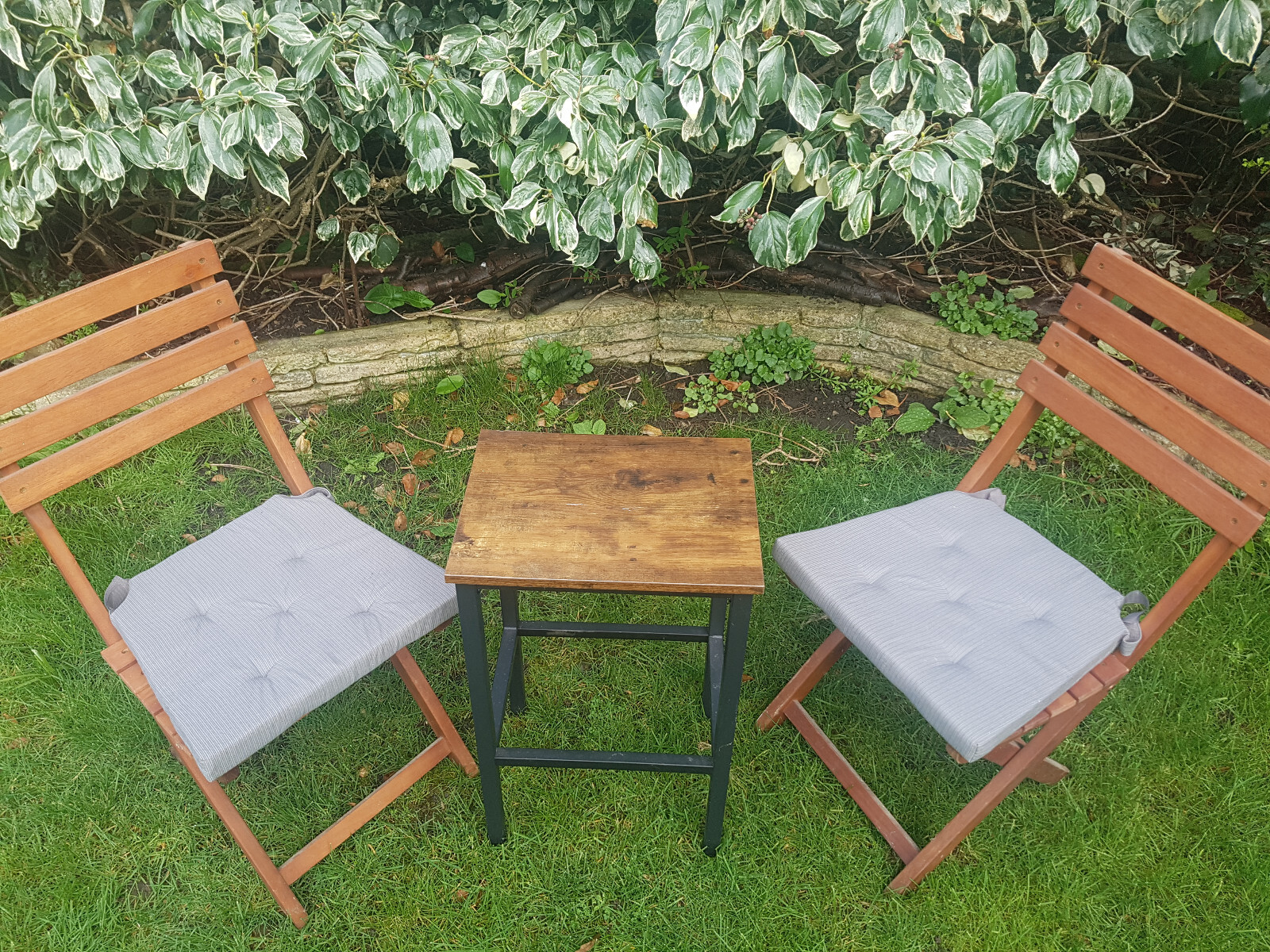 Set of wooden John Lewis folding chairs plus free cushions and small