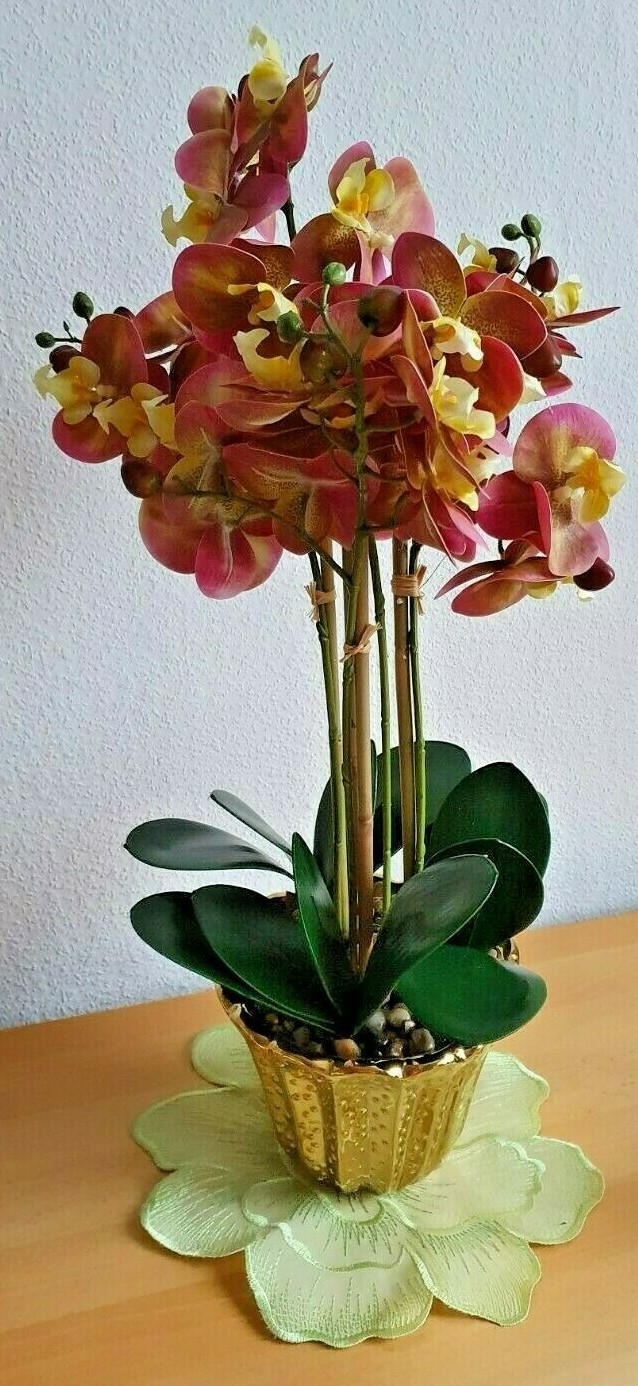 Bild 2 von 10