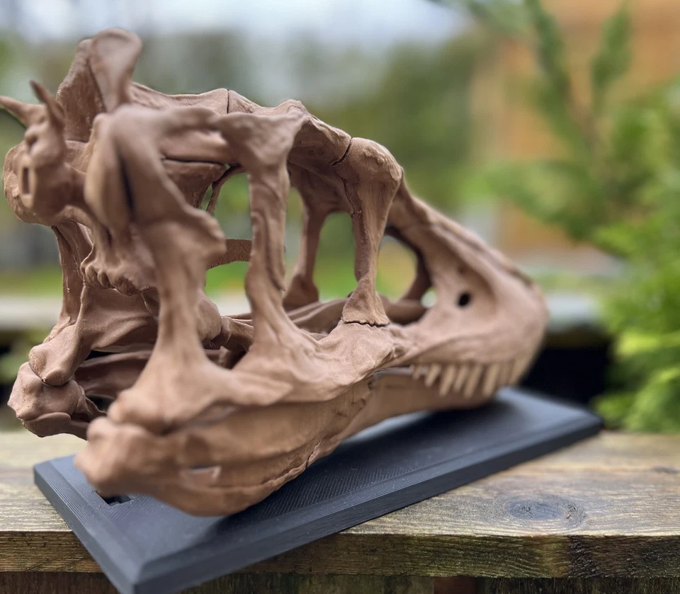 Réplica de calavera de bebé T-Rex tamaño real 1:1 - modelo fósil de dinosaurio impreso en 3D Foto 2 de 4