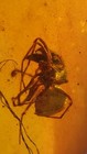 Bild 6 von 8