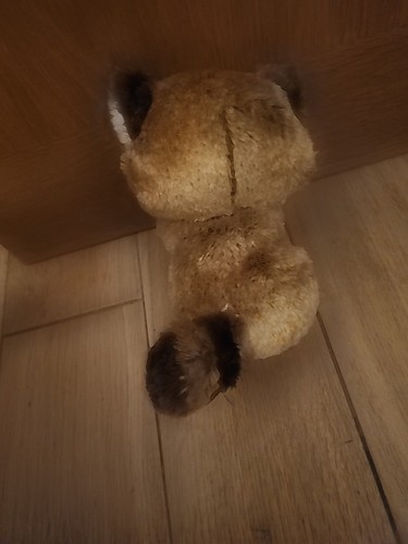 Ty Beanie Boo 2018 Rusty The Racoon Soft Toy Cuddly Plush Stuffed Animal 6” - Picture 2 of 3