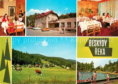 Reka Beskyda Hotel Reka Restaurant Outdoor Pool Cattle Pasture Landscape Panorama