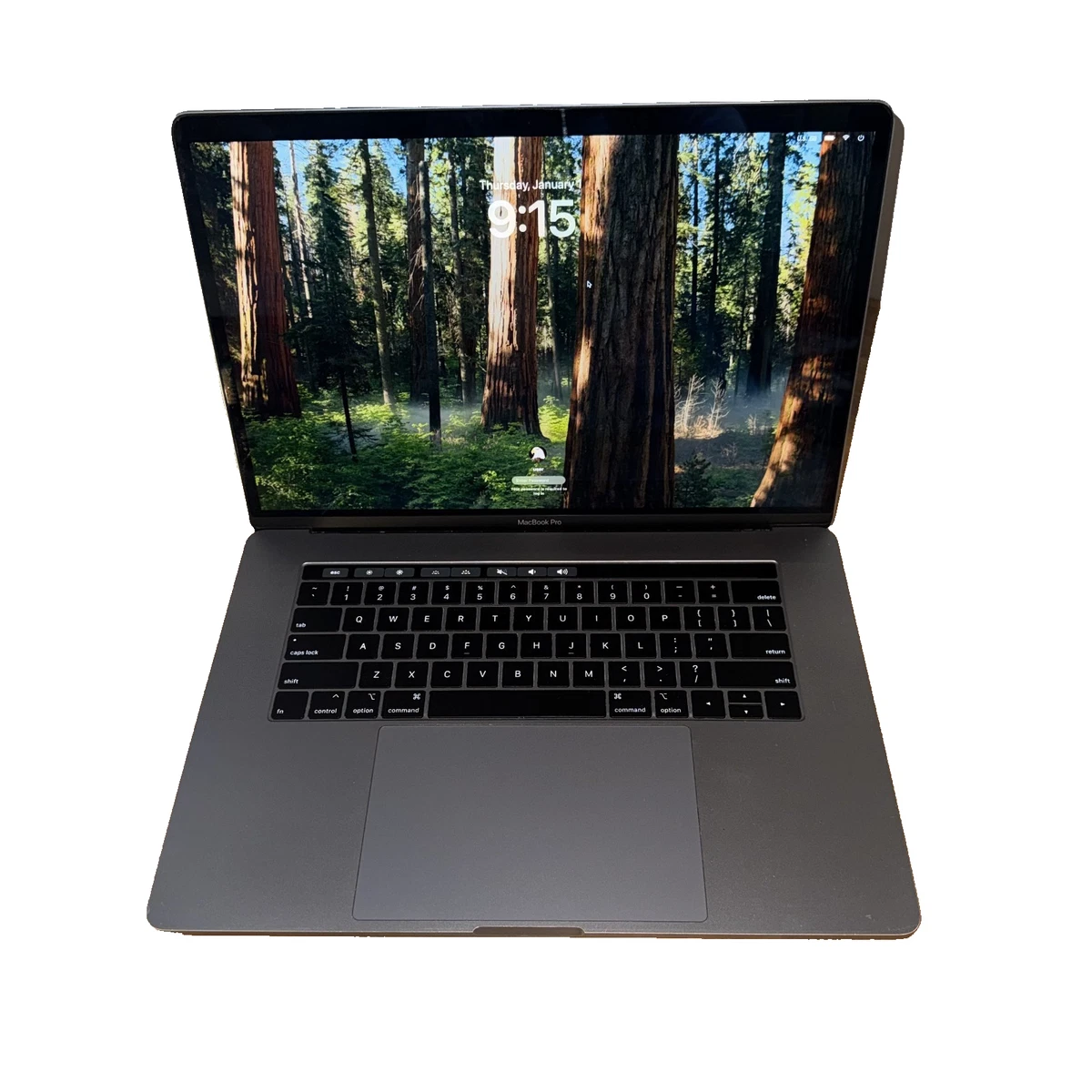 MacBook Pro AMD Radeon Pro 560X Apple Laptops for sale - eBay