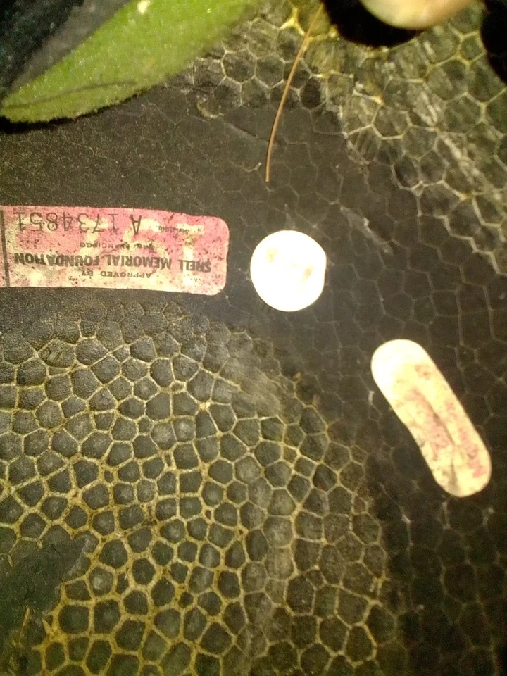 rare vintage simpson m30 snell 1975 original stickers and visor - Image 4 of 4