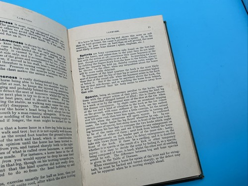 Indian Horse Notes An Epitome Of Useful Information 1906 - Picture 14 of 17