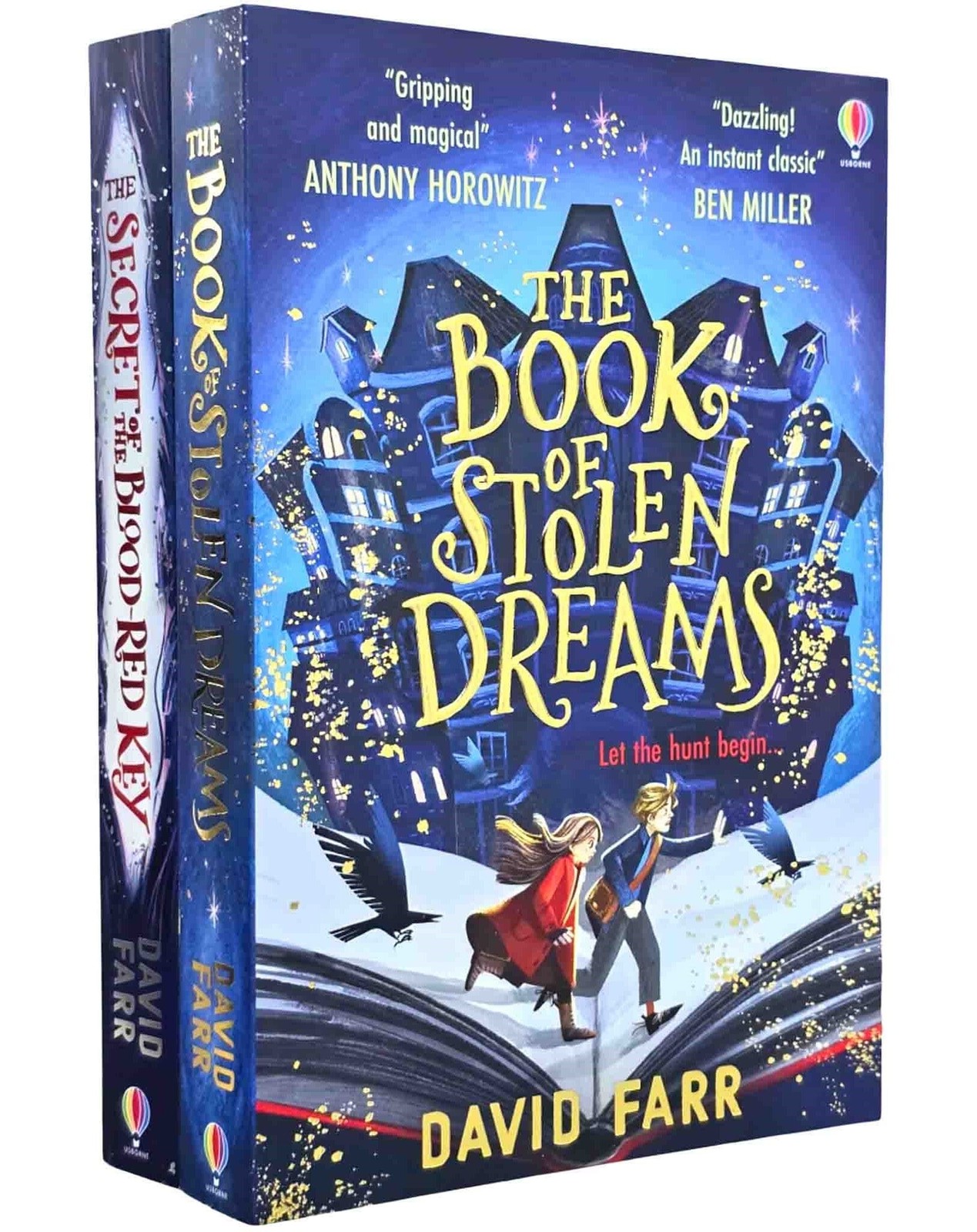 The Stolen Dreams Adventures By David Farr 2 Books - Paperback