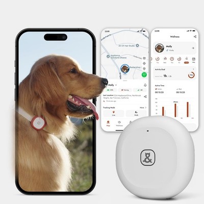 Molly&Cody GPS + Bluetooth Pet Tracker for Cats & Dogs   Real Time Tracking,... 