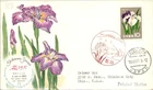 Japan FDC 36.6.15 A Kind Of Iris - J19272