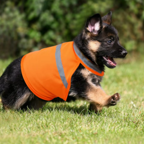 Reflective Dog Safety Vest Pet Fluorescent Clothes for Walking Night UK - Picture 11 of 14