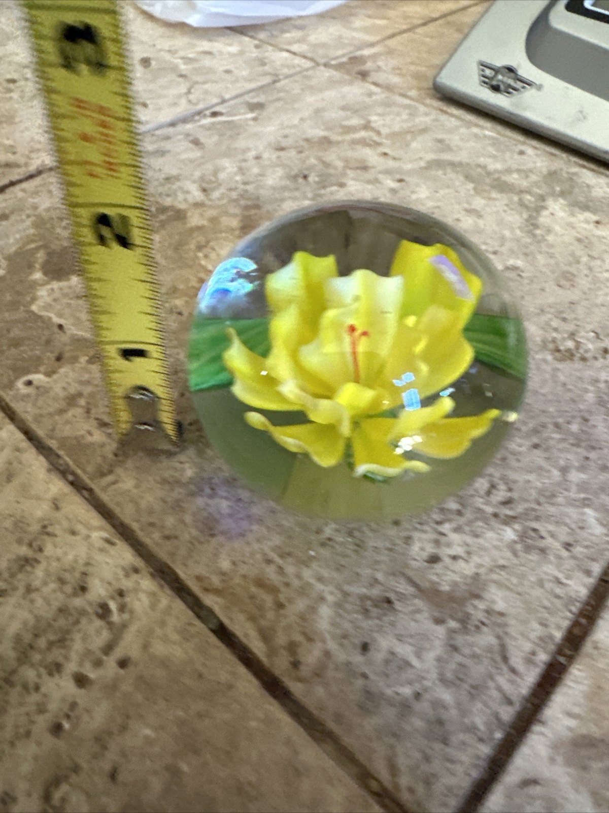 Picture 5 of 6