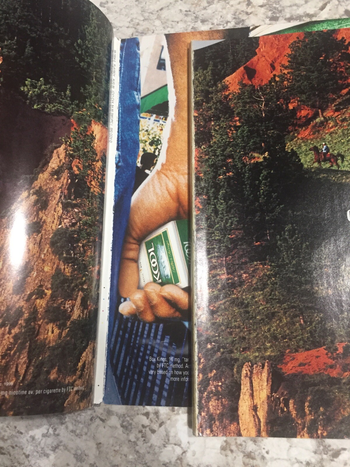 Playboy August 1999 Shannon Elizabeth Rebecca Scott Nell McAndrew | eBay