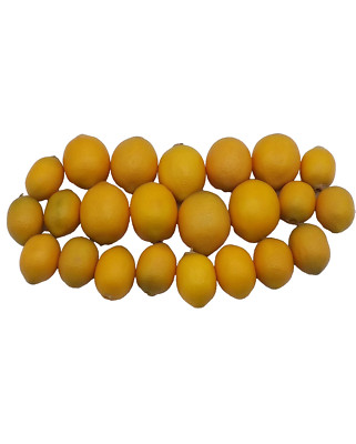 Lemon Fruit 1.5'' & 2'' Yellow Fake Faux Artificial Realistic Two Sizes Lot 23