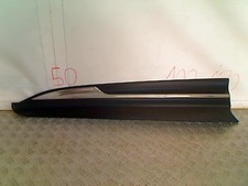 Baguette de porte Renault SCENIC