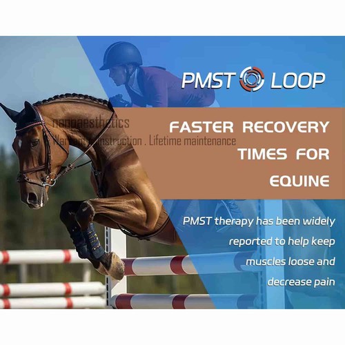 PEMF Magnetic Therapy Machine for Horses Equine Massage PMST Loop Pain ...
