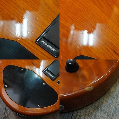 Lakland Shoreline Series SL44-94 Deluxe | eBay