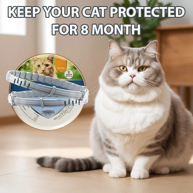 1/2/3PACK Adjustable Cat Collar for Cat Soft Durable Comfortable Pet Collar US - Image 2 of 4