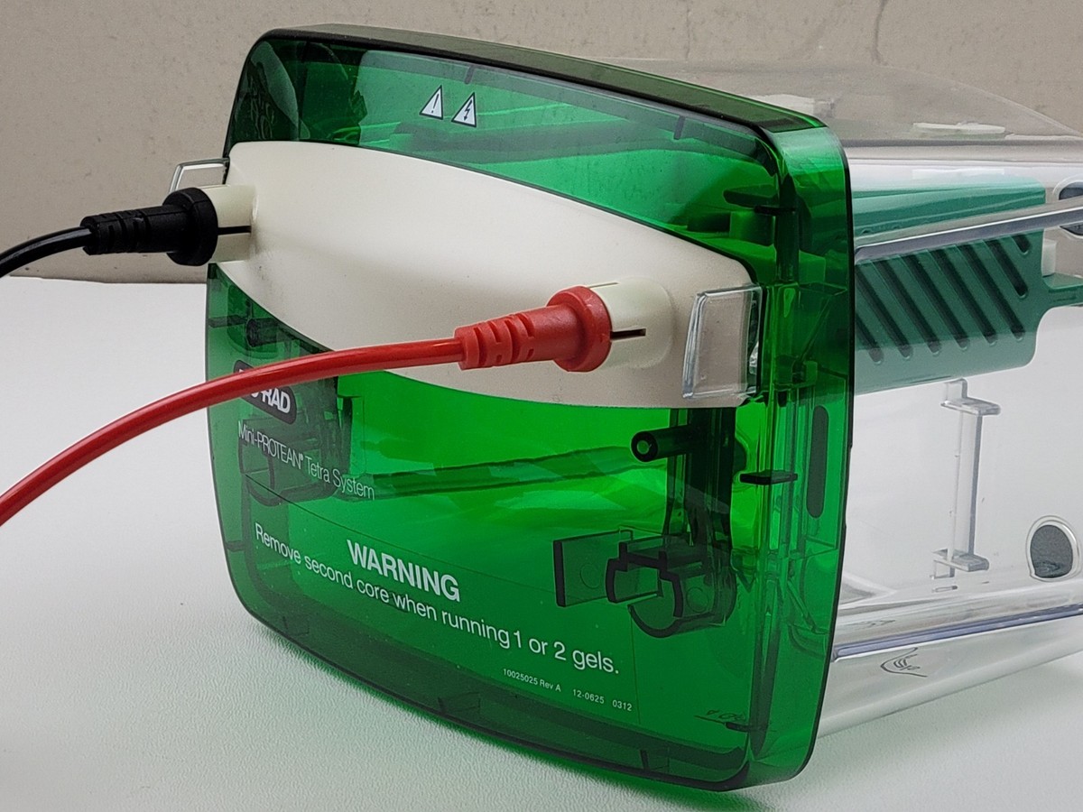 Bio-Rad 552BR Mini PROTEAN Tetra Cell Gel Electrophoresis System