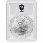 2023 Mexican Silver Libertad 1 oz — photo from another recent sale