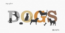 Dogs Galore Needlepoint Kit or Canvas - Dog Canine Animal Pet 15x6