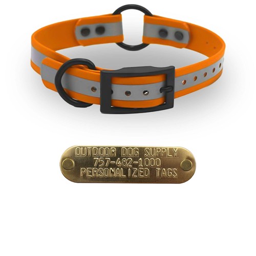 1" reflektierendes SoftFlex Beta Mittelring Hundehalsband mit Messing Namensschild - Bild 22 von 51
