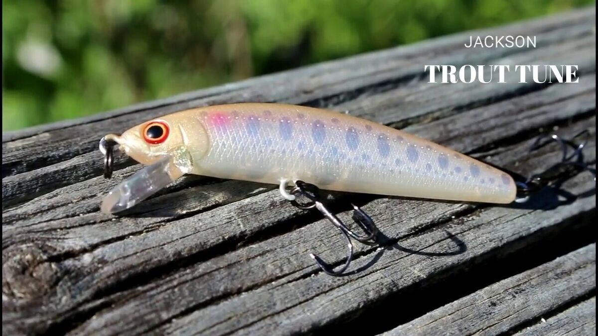 Jackson Trout Tune 55S, Fishing, Japan Wobbler, Bait, Trout Jackson Trout Tune 55S, Fishing, Japan Wobbler, Bait, Trout