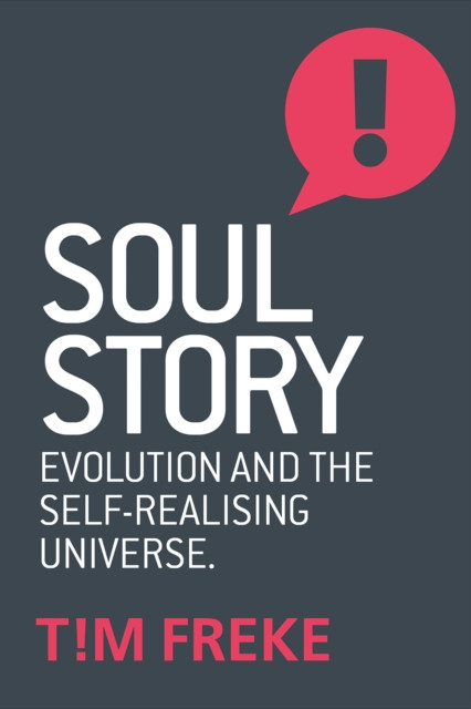 Soul Story Evolution and The Purpose of Life by Tim Freke (Paperback Book)